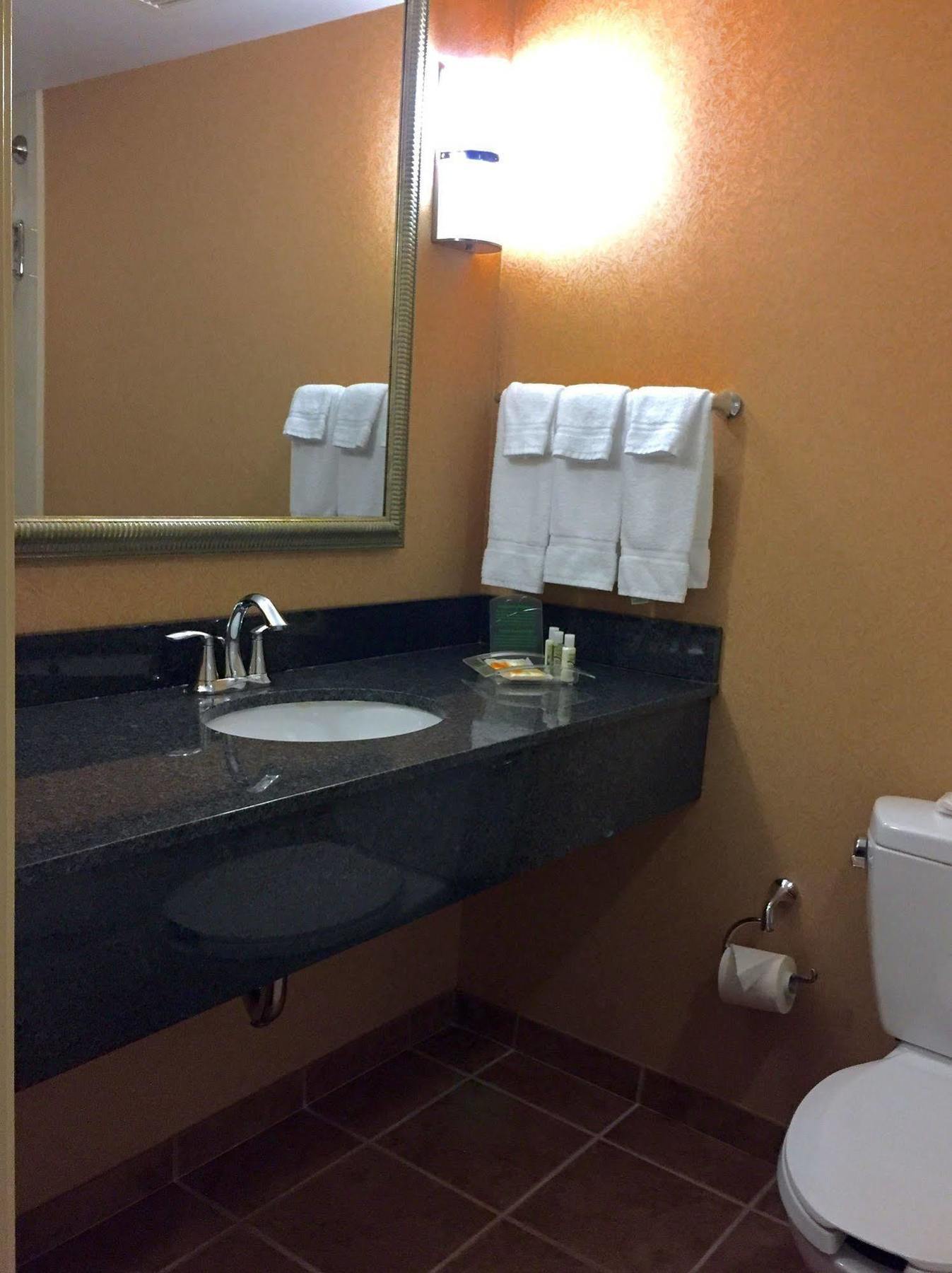 Holiday Inn Winchester Southeast-Historic Gateway By Ihg מראה חיצוני תמונה